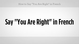 How to Say "You Are Right" in French | French Lessons