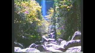 JERONIMO PROJECT/THE VALLEY