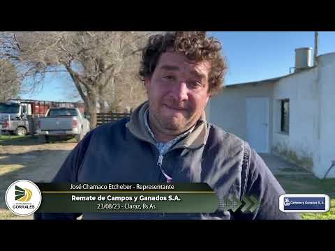 23-08-23 - José Chamaco Etcheber - Representante de Campos y Ganados S.A. - Claraz, Bs.As.