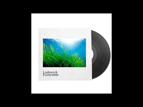 Ludowick - Ecosystem (Original Mix)
