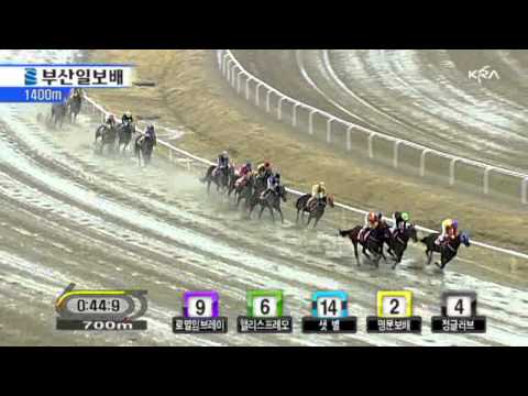 2011 Busan Ilbo Cup - Crown Flag