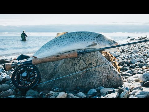 Havørred fanget i efteråret på en Brendas mor
