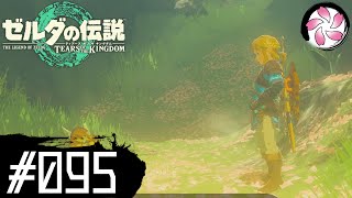 【ティアキン＃95】凡人が行く龍泪旅