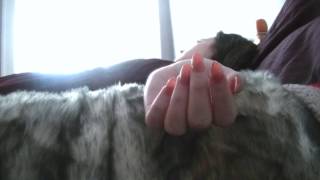 Good Mourning - Media As Level Film Introduction