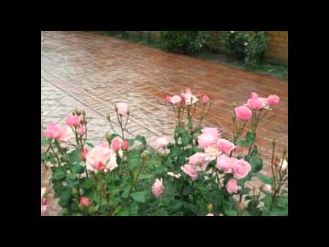 Beton Amprentat Peştiş Tel.0761350488 Bihor,Austria,Ungaria,Serbia