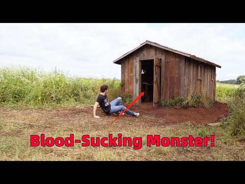 The Teenager Kept A Blood-Sucking Monster In A Shed And Threw His Classmate In As Food.