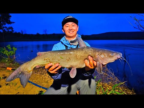 Overnight Shore Fishing Adventure: Channel Catfish &amp; More (Saskatchewan Canada)