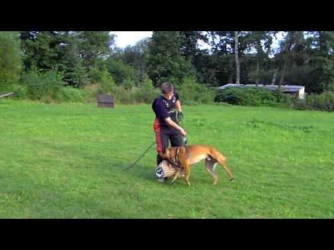 Pepa a Uriach Malidaj