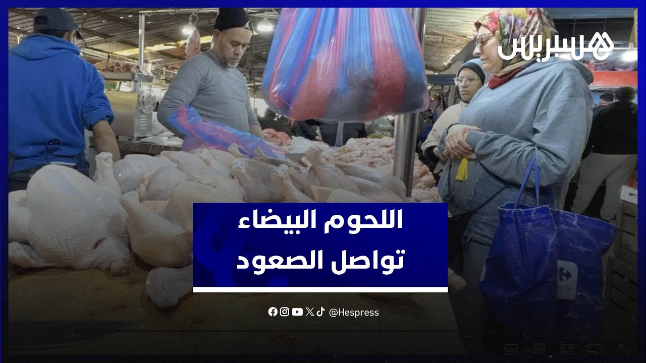 أسعار اللحوم البيضاء بين ارتفاع الطلب وتراجع العرض… مواطنون يشتكون والباعة يوضحون الأسباب thumbnail