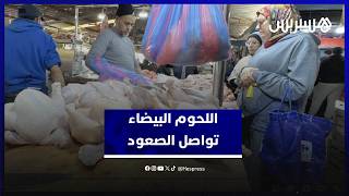 أسعار اللحوم البيضاء بين ارتفاع الطلب وتراجع العرض… مواطنون يشتكون والباعة يوضحون الأسباب thumbnail