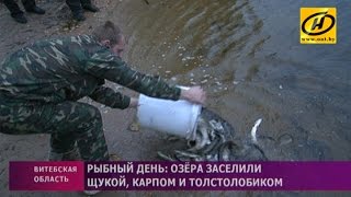 Перечень озер витебской области где запрещен троллинг