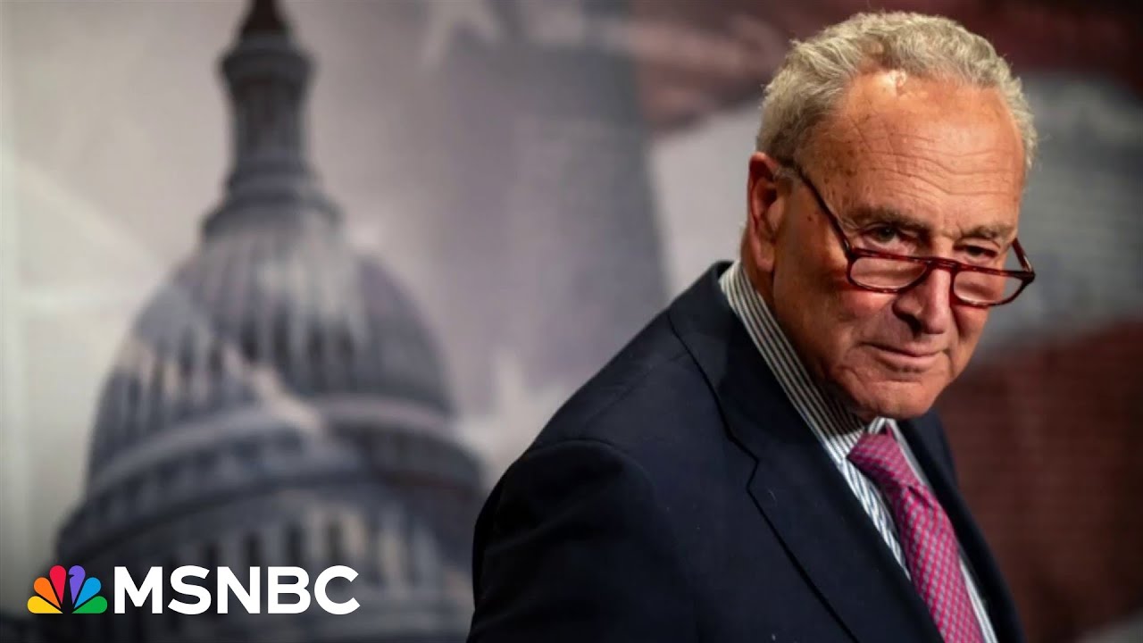 'Chuck Schumer's gotta go!' Dems face reckoning amid dire polls