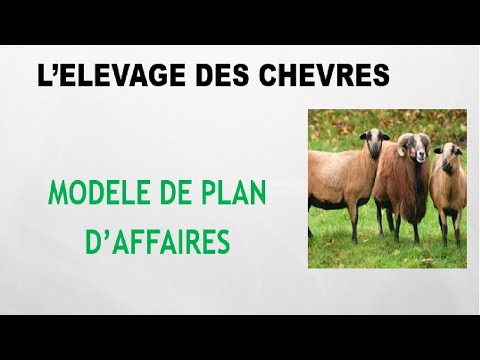 , title : 'Business Plan pour Elevage des Chèvres gratuitement'