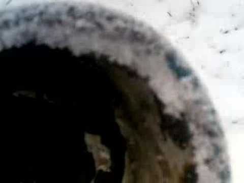 Sylvester Wernitzgrün