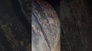 Krone SD *696* curtain side semi-trailer for sale - Image 4 | Autoline UG Krone SD *696* curtain side semi-trailer | Image 4 - Autoline