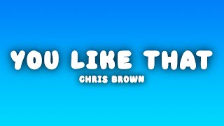 Chris Brown - You Like That (Lyrics)
