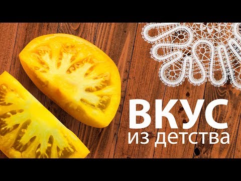 Вкус из детства! Томат Бабушкин поцелуй. Сорта томатов. Обзор