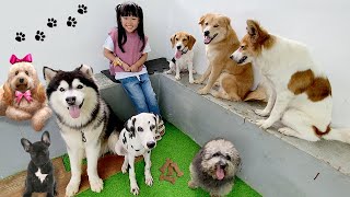 Download lagu Main Sama Anjing Lucu, Kasih Makan Anjing dan Ajak Jalan Jalan - Mengenal Binatang untuk Anak mp3 Download lagu Main Sama Anjing Lucu, Kasih Makan Anjing dan Ajak Jalan Jalan - Mengenal Binatang untuk Anak mp3