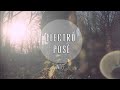 PETIT BISCUIT - Memories 