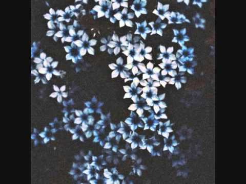 ❀ Foliage ❀ - (Singles)