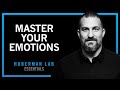 The Science Of Emotions Relationships Huberman Lab Essentials