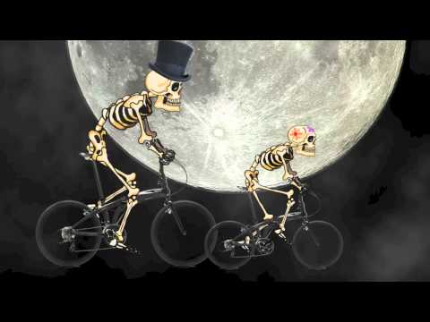 tern eclipse ninja - BONES