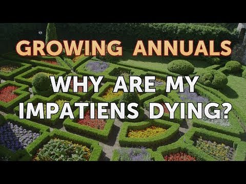 Laws on Growing Poppies