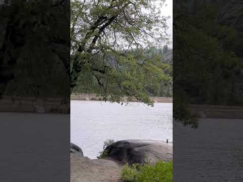 Life is Good #nature #scenic #lake #mountains #sky #clouds #hiking #waves #tree #green