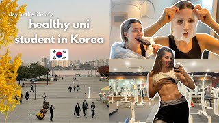 Life in Seoul | Graduate Student Lifestyle Vlog DIML