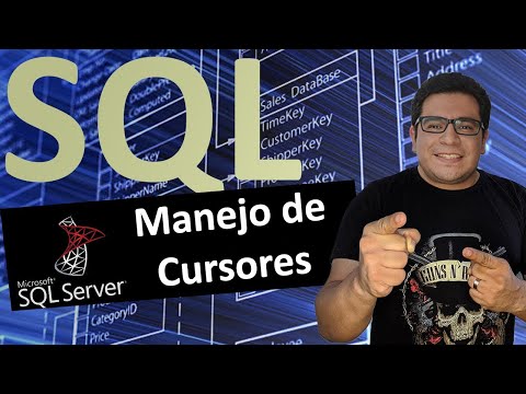Cursores en SQL Server – SoporteSQL