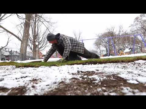 Laying sod in the snow not outrageous