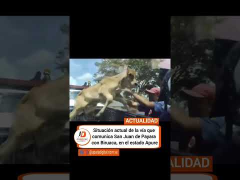 #Actualidad 🇻🇪 Situación actual de la vía que comunica San Juan de Payara con Biruaca, apure