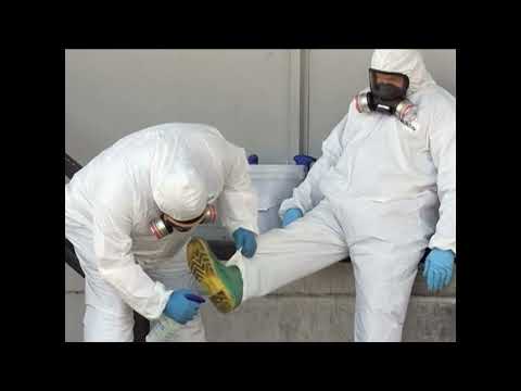 Today in History: October 21