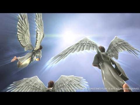 Ángeles de Dios - Alabanza Catolica