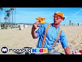 Learn Colors and Counting at a Beach | Blippi | Kids Songs | Moonbug Kids
