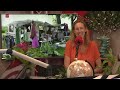 Visit Flevoland: Wat valt er dit weekend te beleven in Flevoland?