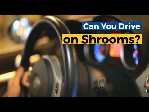 Can You Drive on Shrooms?