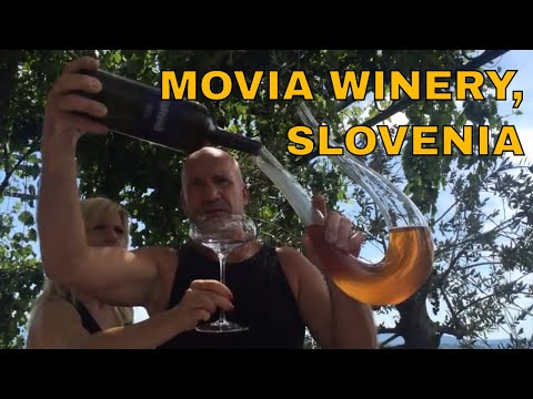 Slovenian Wine from Movia Winery (Hiša Movia)
