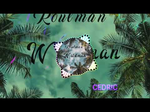 dj sebb feat junior pll black t roulman wildman remix cedric PRXD 🔥