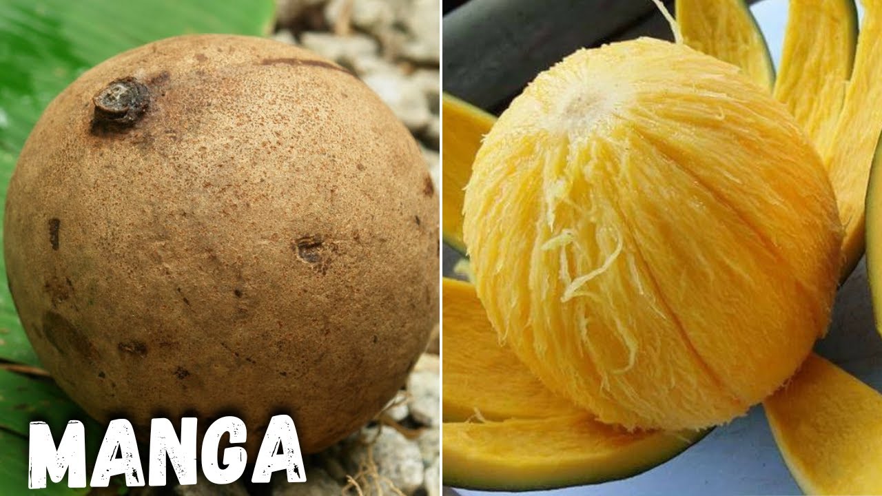 10 MANGAS EXÓTICAS MAIS INCRÍVEIS E DIFERENTES QUE VÃO TE IMPRESSIONAR