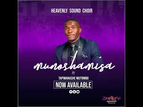 MUNOSHAMISA: Heavenly Sound Choir ft Tapiwanashe Mutombo