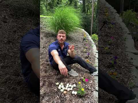 The Color Can Tell You Alot