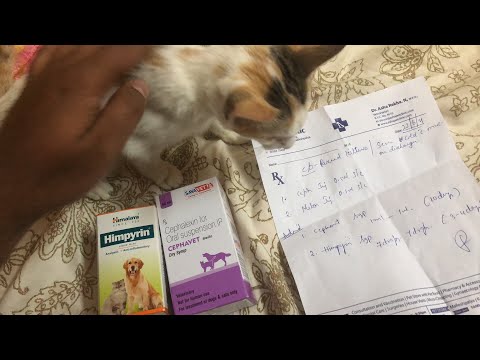 Cephavet Cephalexin Oral Suspension, 60ml