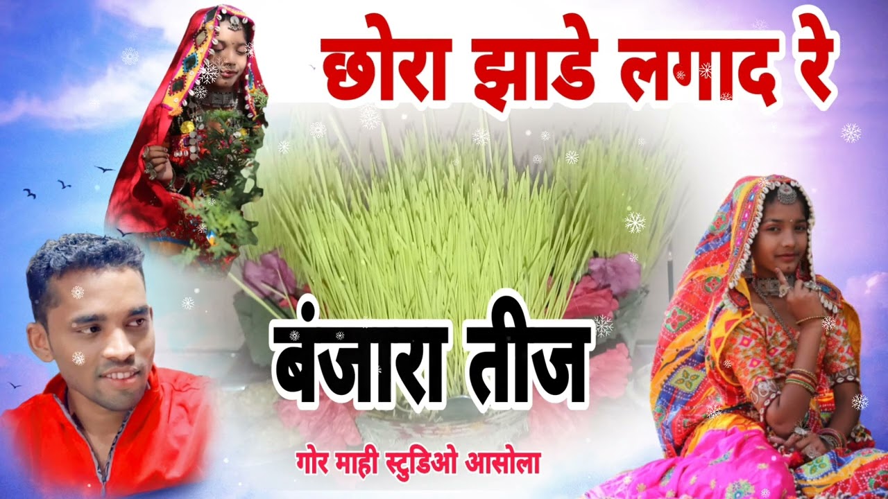 छोरा झाडे लगादरे झाडे मेहंदी रो बंजारा सॉन्ग लिरिक्स