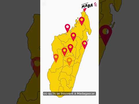 Design for Change Madagascar - Le parcours formatif #shorts