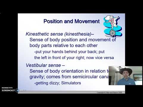 image-Where is the kinesthetic sense?