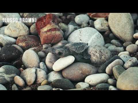 Mell Duney 616 - Better N Better ft Lusso Brown (OFFICIAL MUSIC LYRIC VIDEO) #VacationAnthem