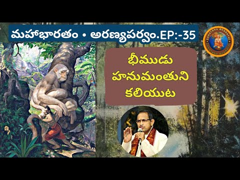 అరణ్యపర్వం 35 • భీముడు హనుమంతుని కలుసుకొనుట • Bheema and Hanuman meets • Chaganti • Mahabharatham