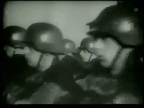 Goataholic - Steroids on the move