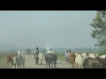 Way To Patabari